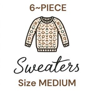 6~Piece Sweater Lot Size MEDIUM